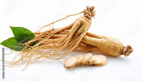 ginseng isolated on a white background