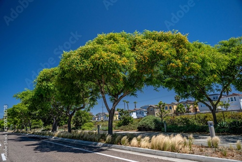 solana beach, california