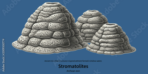 Stromatolites ancient microbial structures layered sediment shallow waters archean eon geology.
