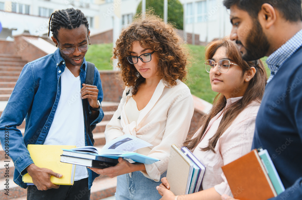 Fototapeta premium Diverse students studying together on university campus