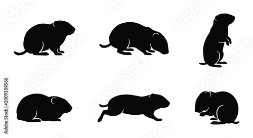 Quadro su tela Ground Squirrel Silhouettes Vector Set on White Background