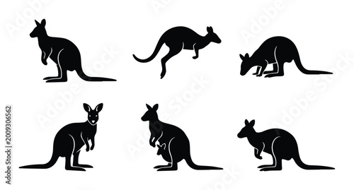 Quadro em tela vector kangaroo icons set on white background