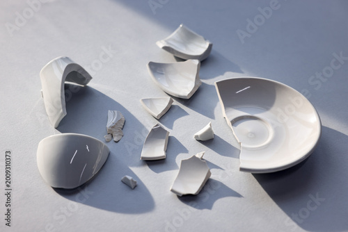 Bild auf Leinwand Pieces of broken saucer and cup on light grey background, closeup