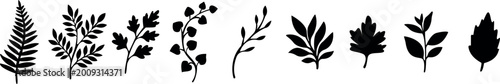 Hand Drawn Botanical Leaf Silhouettes Collection With Organic Floral Branches for Boho Nature Design.