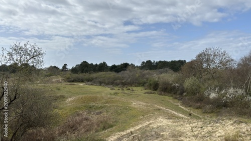 dunes panorama / panoramic view