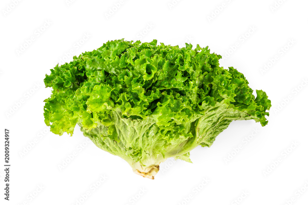 Obraz premium Lettuce leaf isolated on white background. 
