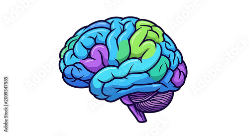 Colorful 3 d of the human brain with highlighted regions anatomy biology medical