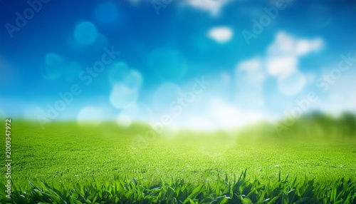 nature background with sunny spring meadow blur background blue sky to green grass