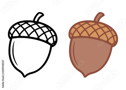 Photos Acorn icon illustration, in line art and colored design, for coloring page