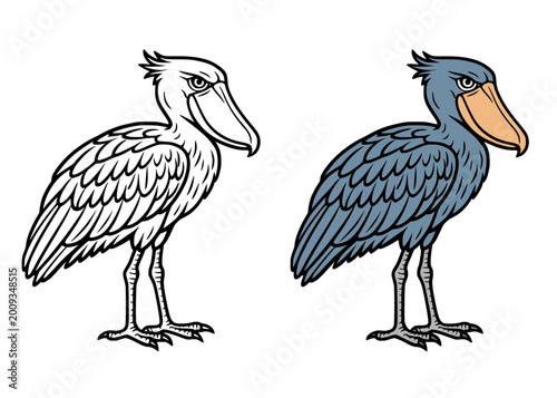Bilde på lerret Shoebill icon illustration, in line art and colored design, transparent backgrou