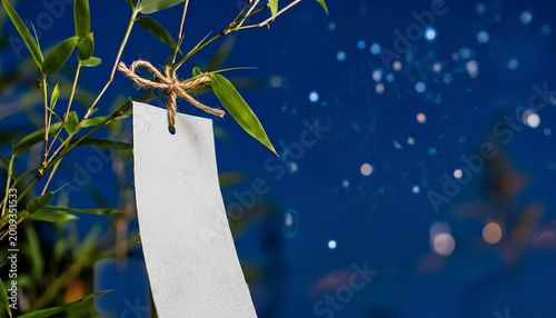 星空の下で風に揺れる七夕の笹と真っ白な短冊 / Tanabata bamboo and blank paper strip under a starry night sky (Generative AI)