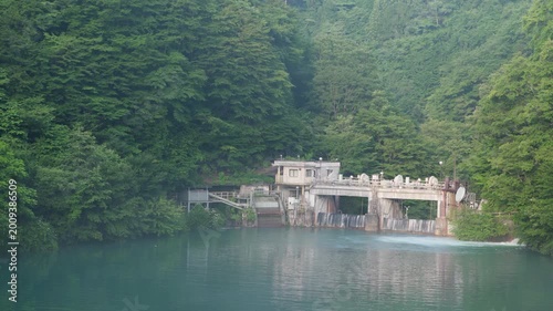 群馬県中之条町の白砂川にある白砂ダム、夏の早朝に森と静かな水面に囲まれたダム湖の自然風景