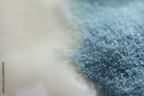 Foto Penicillium species are the most frequent yogurt contaminants