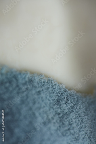 Photography Penicillium species are the most frequent yogurt contaminants