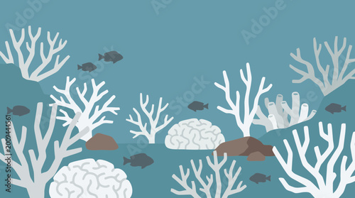 Foto Dead Coral Reef Bleaching Underwater View