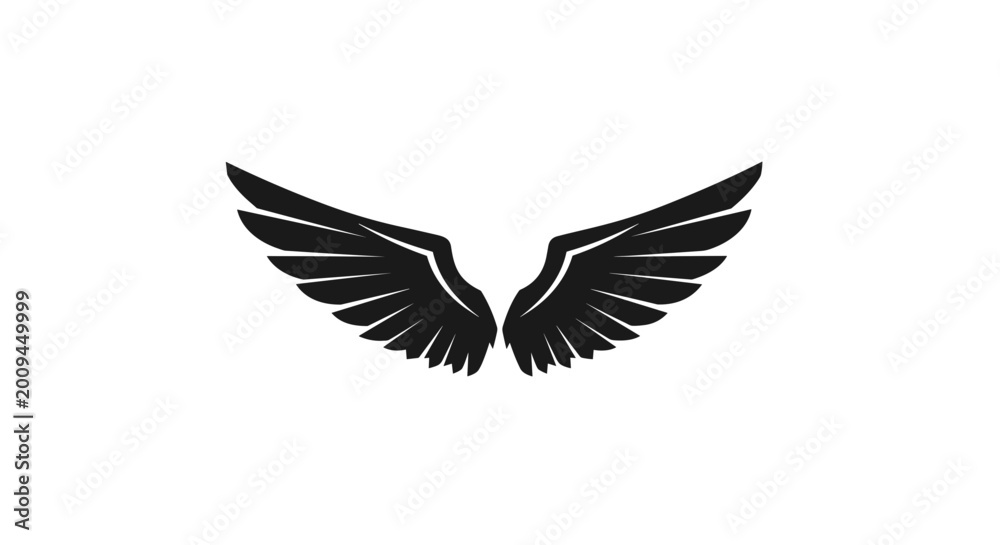 Obraz premium Black silhouette of flying wings.