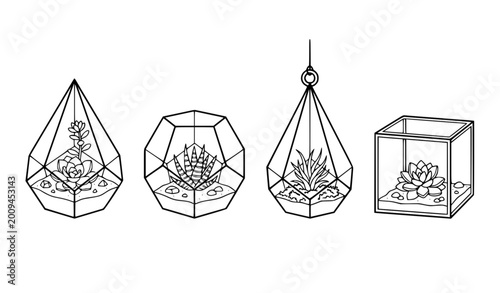 Fotografie Minimalist geometric terrarium plants vector illustration set clean black and wh