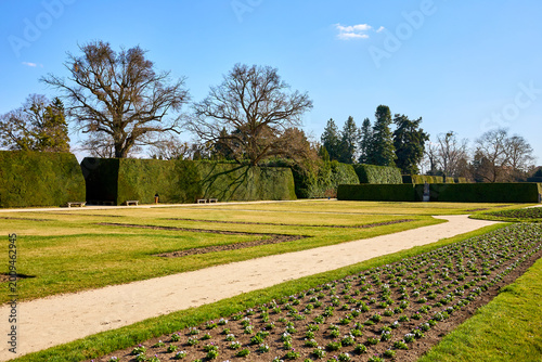 Tableau sur toile Manicured gardens with clear blue sky and trimmed hedges in park