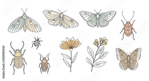 Konstfotografi Collection of Hand Drawn Insects and Flowers Botanical Illustration