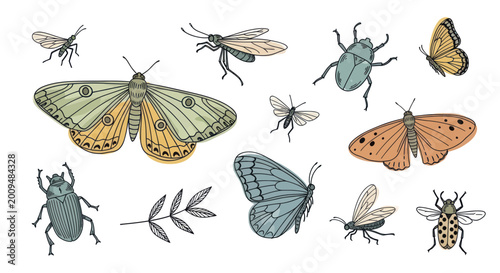 Konstfotografi Collection of various insects and bugs with detailed wings and bodies
