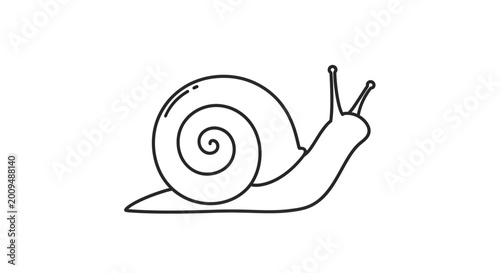 Photos Snail Shell Animal Slow Moving.