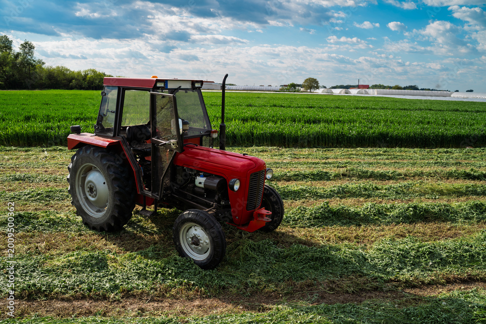 Obraz premium Clean red tractor on growing wheat field with blue sky background, no people