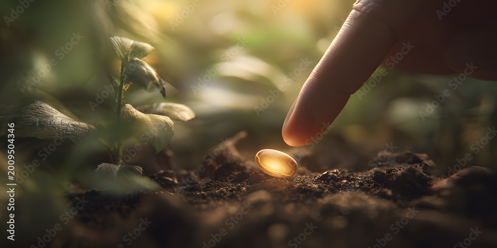 Fototapeta premium Human finger gently pressing a glowing golden seed into fertile soil