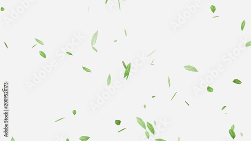 Flying Green leaves over black background. Element Overlay, Flying Green leaves over black background. Element Overlay, eaf falling.
Green Leaves flying with Alpha Channel,
