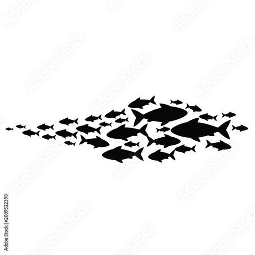 Silhouette of a school of fish swimming together in formation.