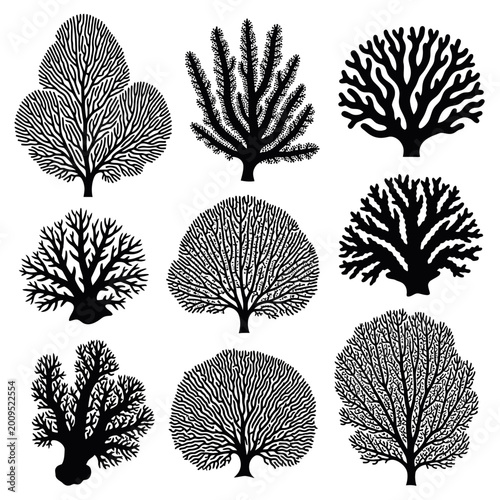 Silhouetted Coral Reefs - A Collection of Marine Flora Illustrations.