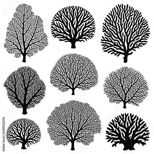 Silhouette Tree Collection - Diverse Tree Shapes and Branching Patterns.