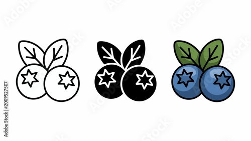 A trio of blueberry illustrations are presented in varying styles outline solid black and full color with green leaves high quality professional detailed modern elegant stylish