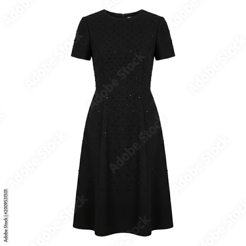 Cuadro en lienzo Elegant black short sleeve a-line dress with beaded embellishments
