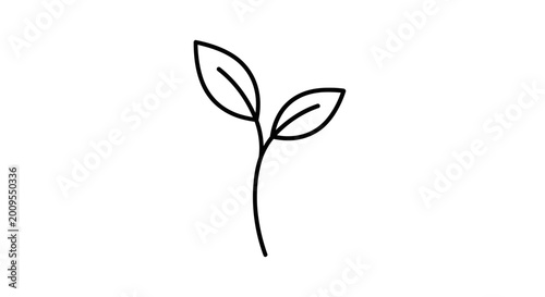 Photos Simple Line Drawing of Small Sprout.