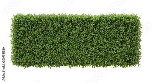Artificial green hedge wall decoration.