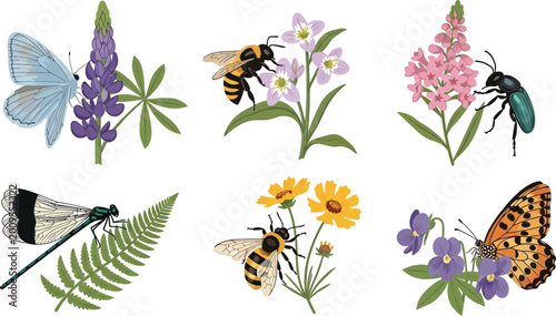 Foto Collection of delicate insects and wildflowers including butterflies bees damsel