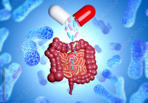 Probiotic capsule releases bacteria into human intestine microbiome. 3d image