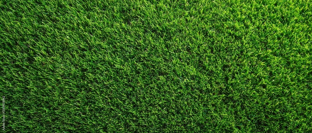 Obraz premium High angle close up view of lush green artificial grass surface texture suitable for backgrounds and design projects. High quality photo