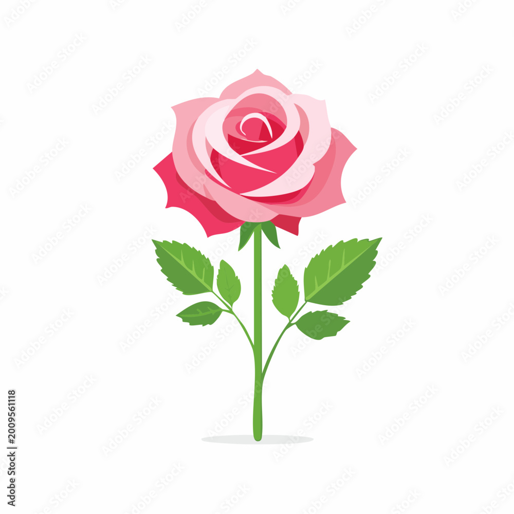 Fototapeta premium Pink Rose Illustration