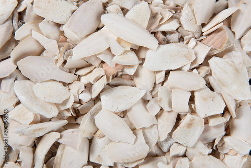 Broken cuttlefish bones providing calcium for birds