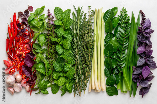 Rainbow Aromatic Herbs Flat Lay