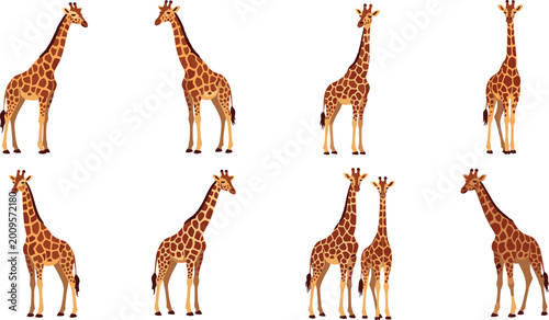 Canvas Print Giraffe illustration collection featuring African safari wildlife animals and sa