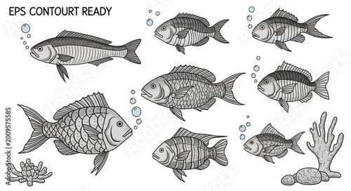 Foto Collection of Hand Drawn Fish Illustrations in Black and White.