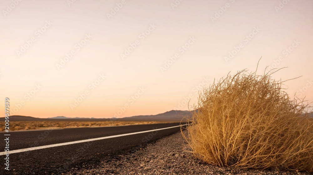 Fototapeta premium Desert Road with Tumbleweed at Sunset