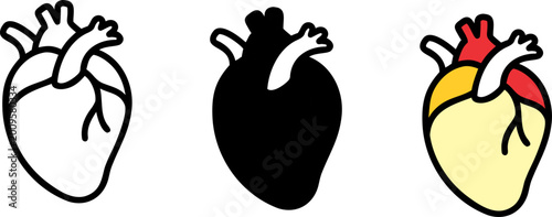 Set of 3 Anatomical Heart Icons - Human Organ and Cardiology Symbols in Outline Solid and Red Styles - Vector