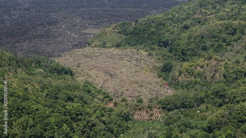 Original green forest on top of mountain