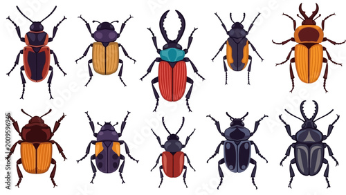 Photos A collection of various colorful beetle illustrations.