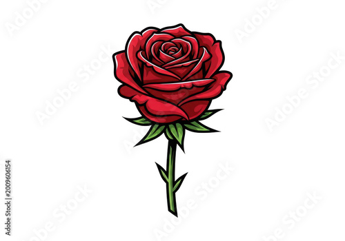 Red poppy flower isolated on white background vector