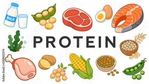 Protein food vector illustration with milk, soybeans, meat, eggs, salmon, seaweed, oats, chicken, potatoes, chickpeas, corn, lentils and peas for healthy diet, nutrition, and fitness design.