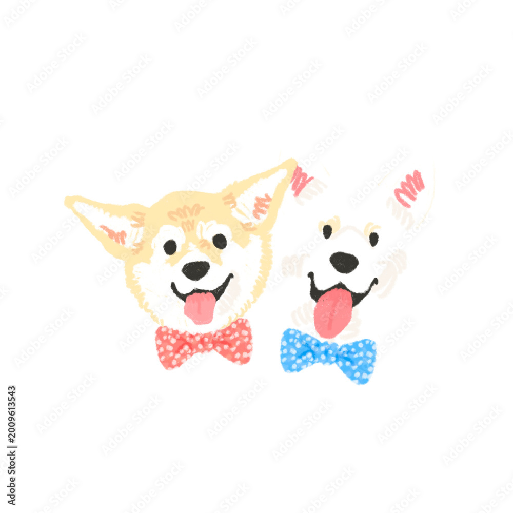Fototapeta premium dog